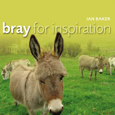 Bray for Inspiration by Ian Baker image