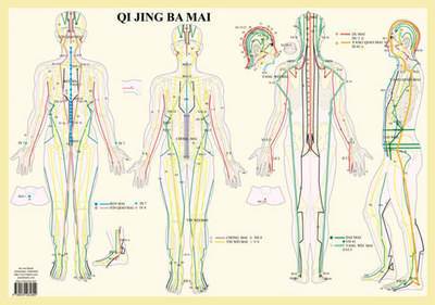 Qi Jing Ba Mai image