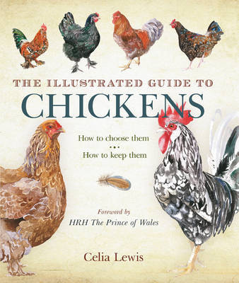 The Illustrated Guide to Chickens: How to Choose Them - How to Keep Them on Hardback by Celia Lewis