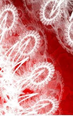 Letters to Myself Journal - White Lace on Red Metal by Judy Powell image