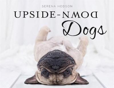 Upside-Down Dogs by Serena Hodson image