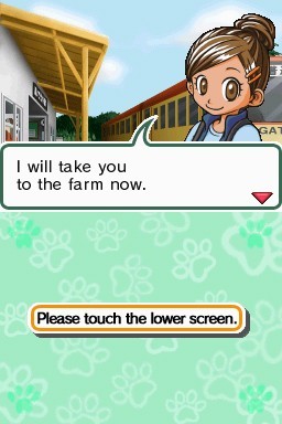 Animal Paradise for Nintendo DS image