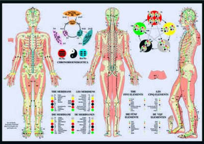 Meridiens and the Five Elements