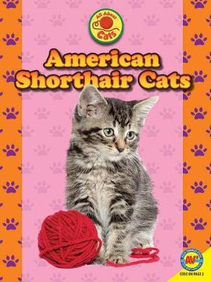 American Shorthair Cats by Nancy Furstinger image