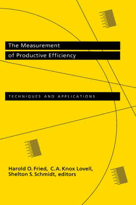 The Measurement of Productive Efficiency image