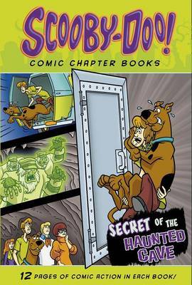 Secret of the Haunted Cave by Matthew K Manning image