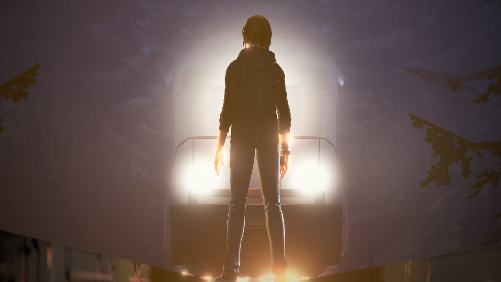 Life is Strange: Before the Storm Limited Edition on PS4