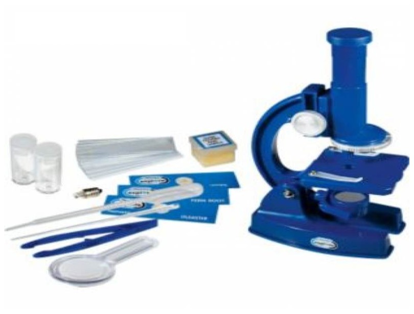 Buy Discovery Kids 100x Microscope at Mighty Ape NZ