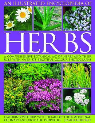 Illustrated Encyclopedia of Herbs by Jessica Houdret image