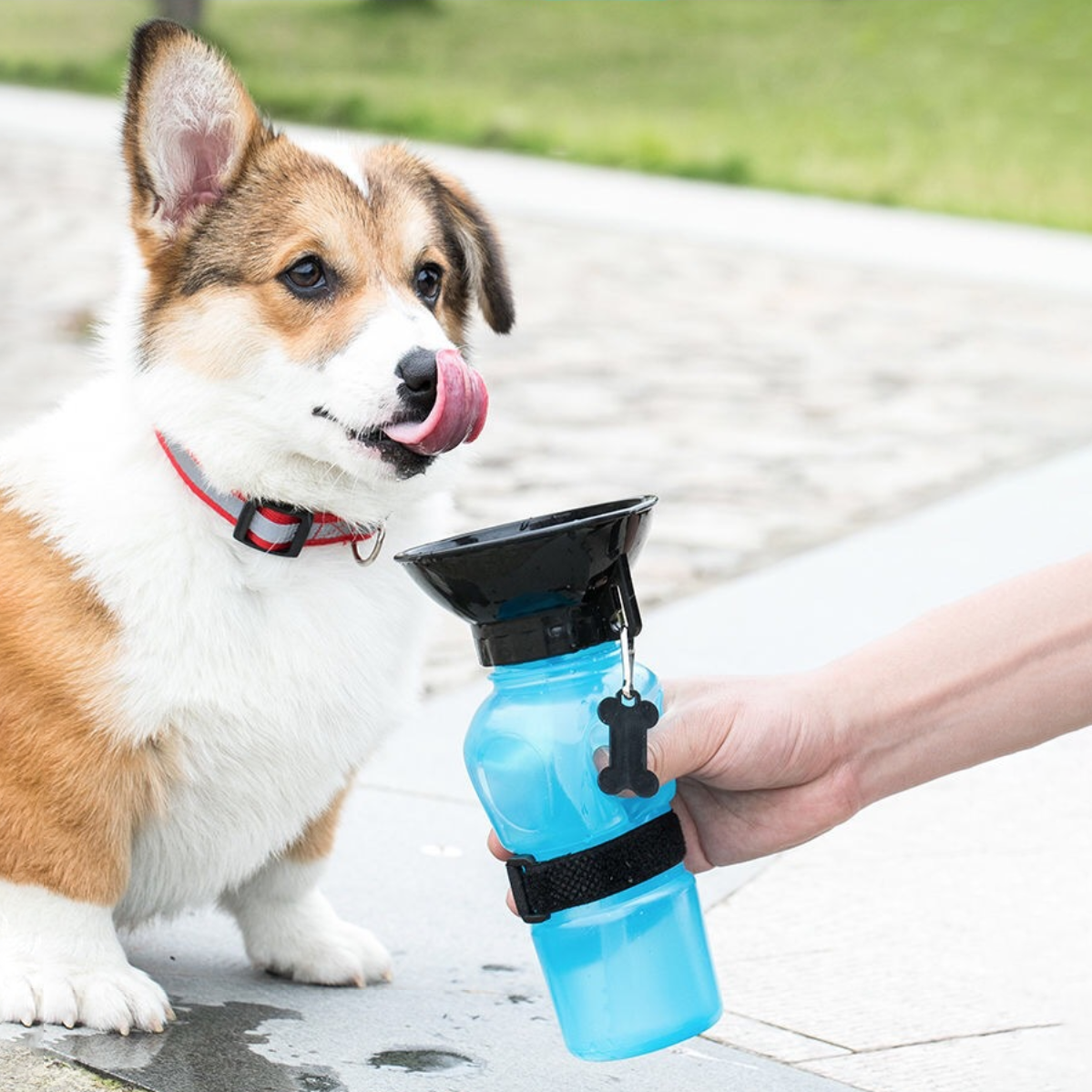 Ape Basics: Portable Pet Dog Water Bottle image