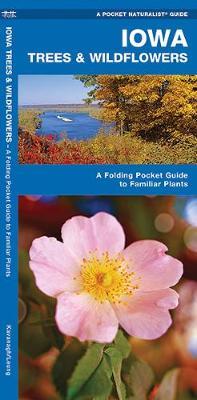 Iowa Trees & Wildflowers : An Introduction to Familiar Species by Senior Consultant James Kavanagh (Senior Consultant, Oxera Oxera Oxera) image