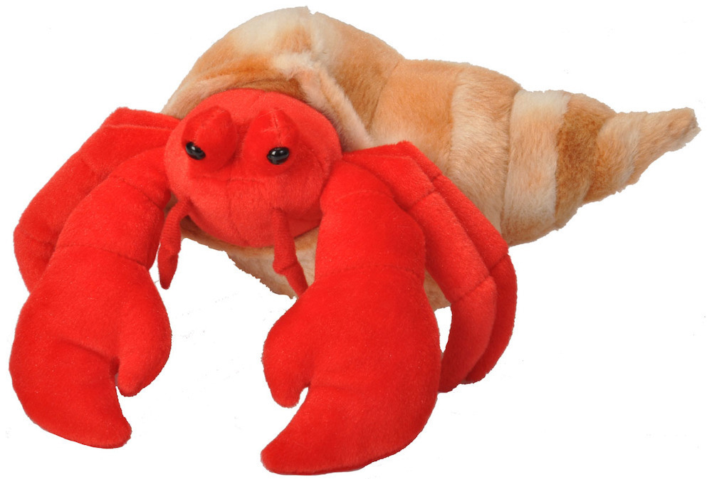 Buy Cuddlekins Hermit Crab 12 Inch Plush at Mighty Ape Australia