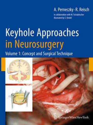 Key Hole Approaches in Neurosurgery: Volume 1 on Hardback by Axel Perneczky