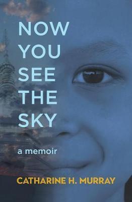 Now You See The Sky by Catharine H. Murray image