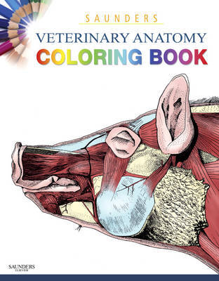 Saunders Veterinary Anatomy Coloring Book by Saunders image