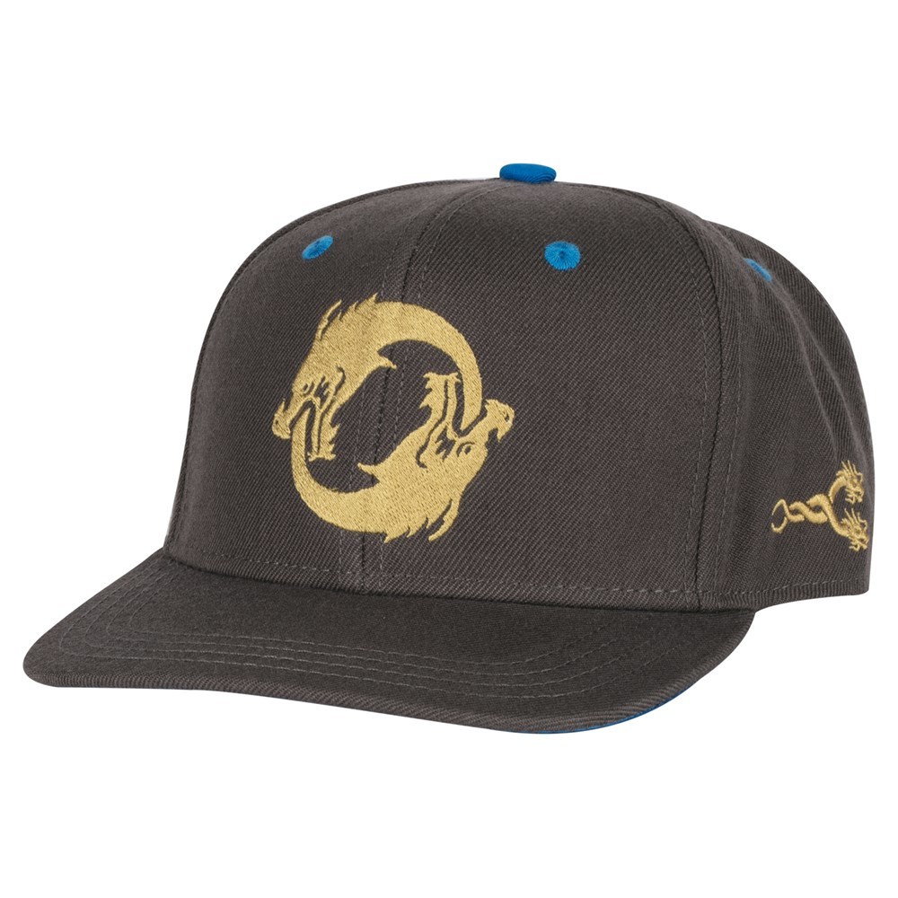 Overwatch Dragonstrike Snap Back Hat image