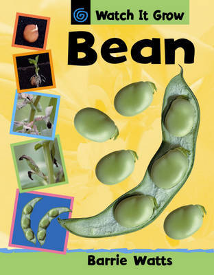 Watch It Grow: Bean by Barrie Watts image