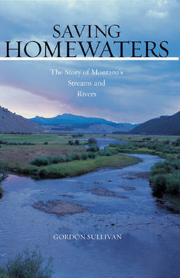 Saving Homewaters by Gordon Sullivan image
