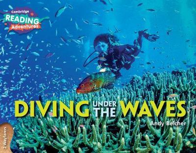 Diving Under the Waves 2 Wayfarers by Andy Belcher image