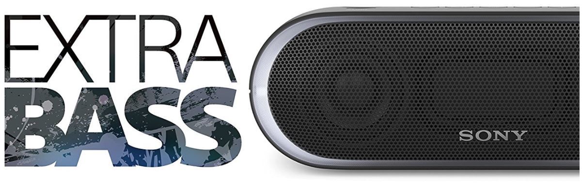 Sony: SRSXB20B Portable Wireless Speaker - Black