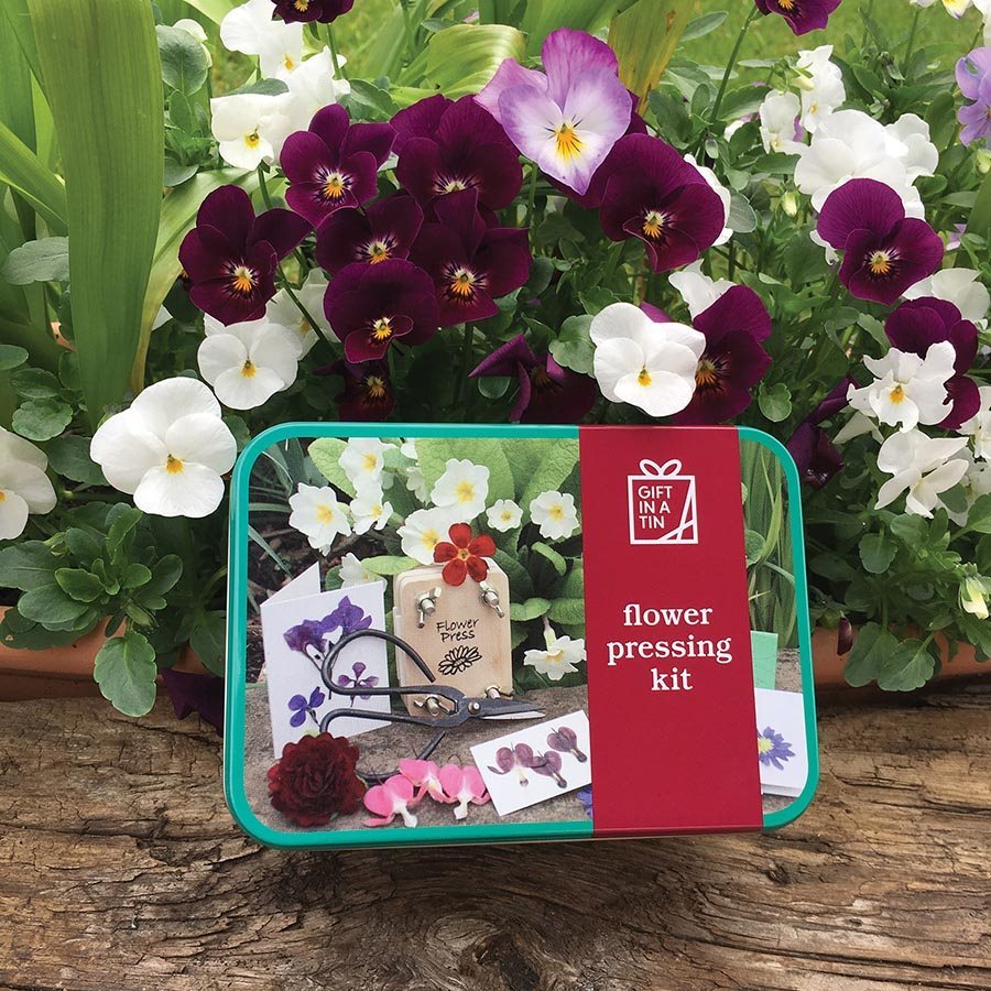Buy Flower Pressing Kit In A Tin at Mighty Ape NZ