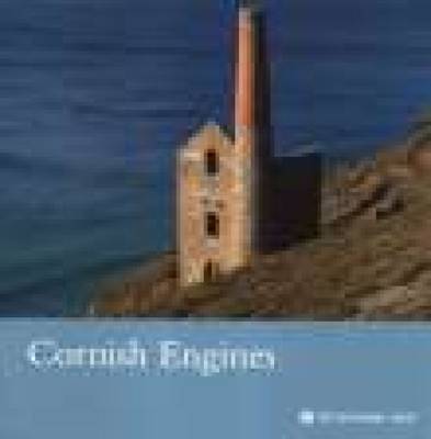 Cornish Engines, Cornwall by Peter Laws image
