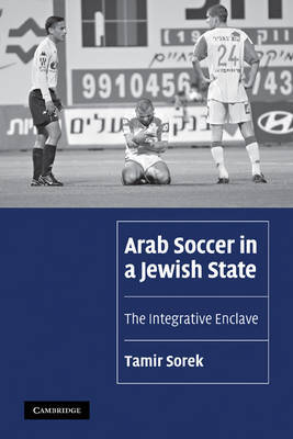 Arab Soccer in a Jewish State by Tamir Sorek image