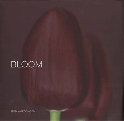 Bloom (large format) by Ron Van Dongen image