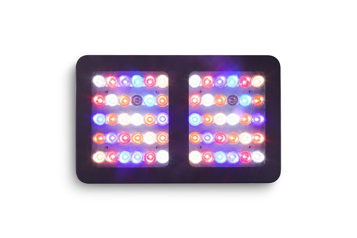 Certa: LED Grow Light