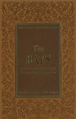 The Rays by Bediuzzaman Said Nursi image