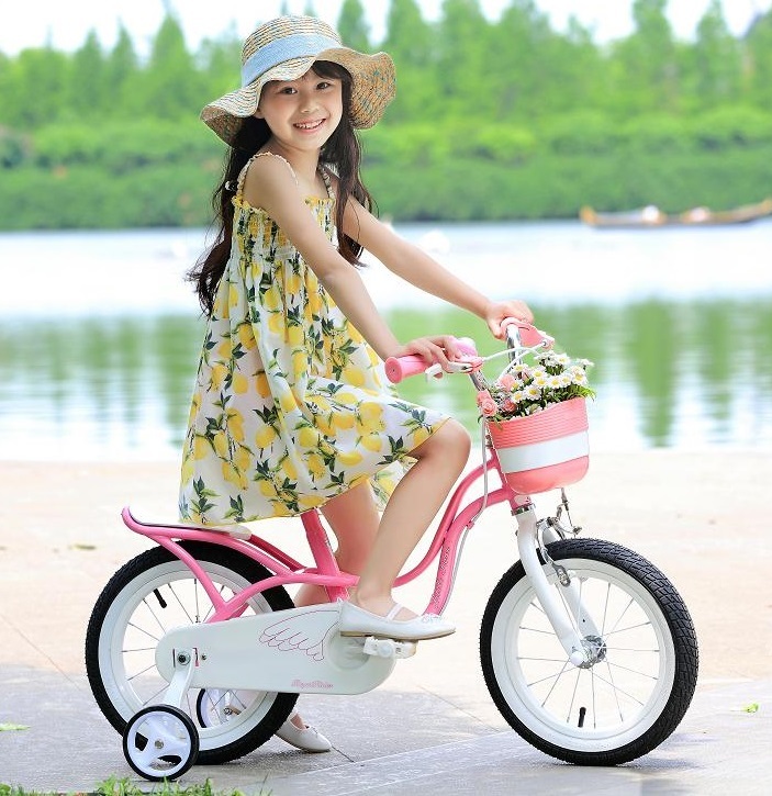 RoyalBaby: Little Swan RB-18 - 14" Bike (Pink) image