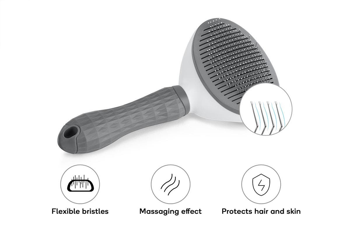 Buy Pawever Pets SelfCleaning Slicker Grooming Brush at Mighty Ape NZ