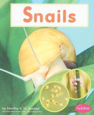 Snails on Paperback by Martha E.H. Rustad