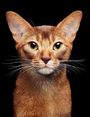 Abyssinian by Notebooks Journals Xlpress image