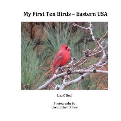 My First Ten Birds by MS Liza O'Neal image