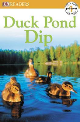 Duck Pond Dip image