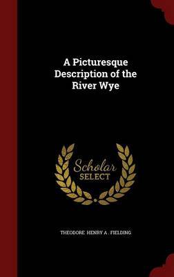 A Picturesque Description of the River Wye by Theodore Henry a Fielding image