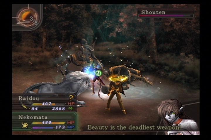 Shin Megami Tensei Devil Summoner: Raido Kuzunoha for PlayStation 2 image