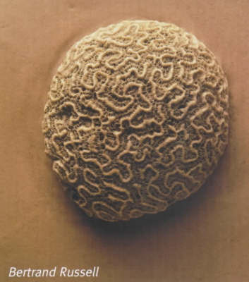The Problems of Philosophy by Bertrand Russell image