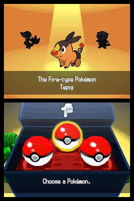 Pokemon Black Version for Nintendo DS image