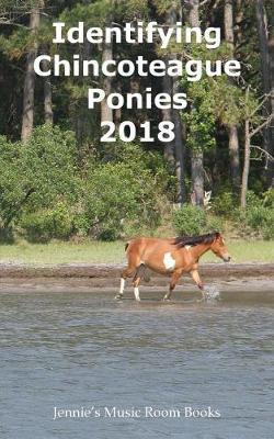 Identifying Chincoteague Ponies 2018 by Gina Aguilera image