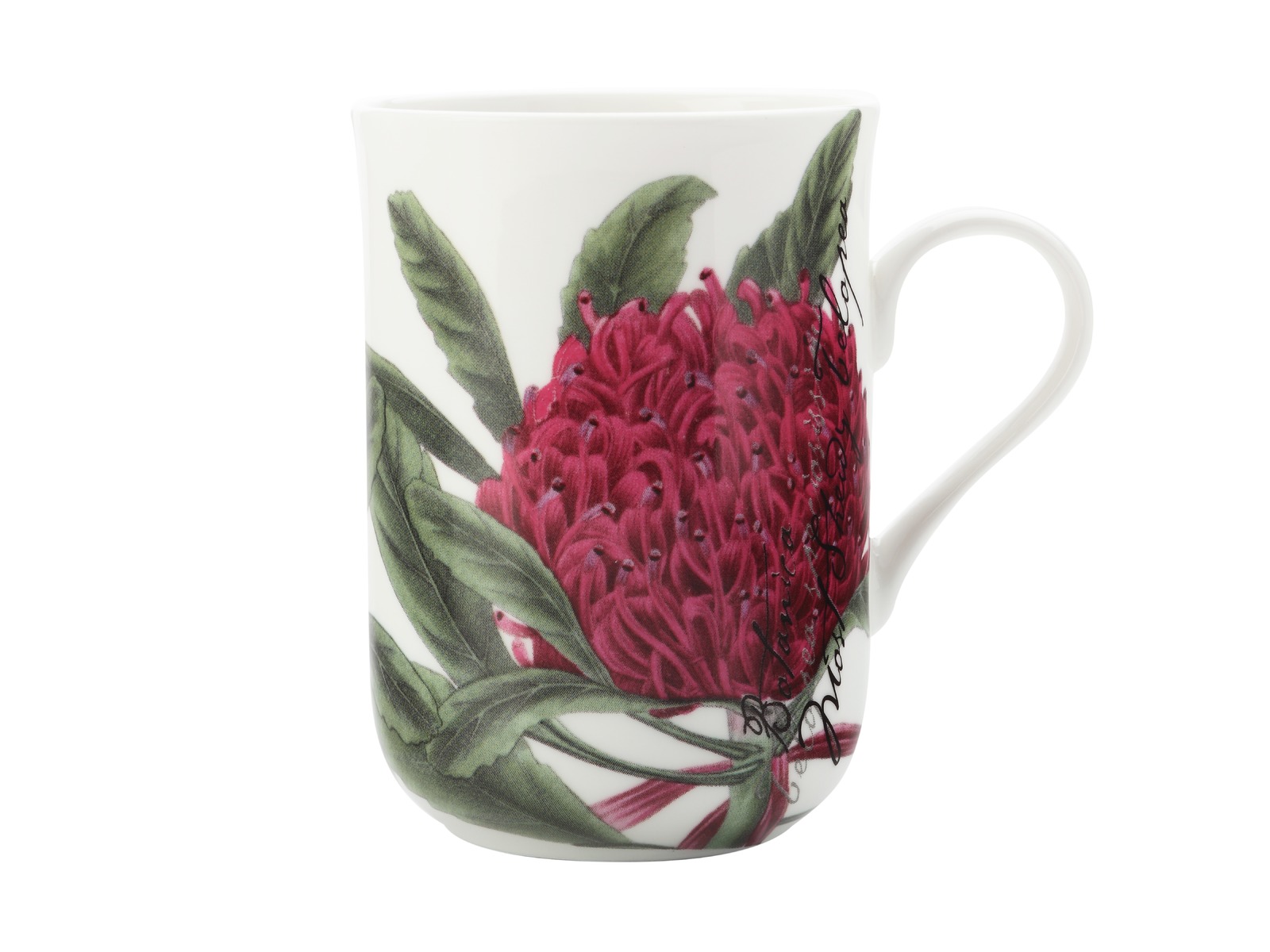 Maxwell & Williams Royal Botanic Garden Mug Telopea (300ml) at
