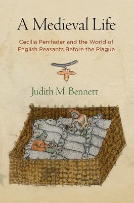A Medieval Life by Judith M Bennett image