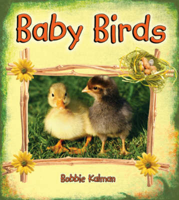 Baby Birds by Bobbie Kalman