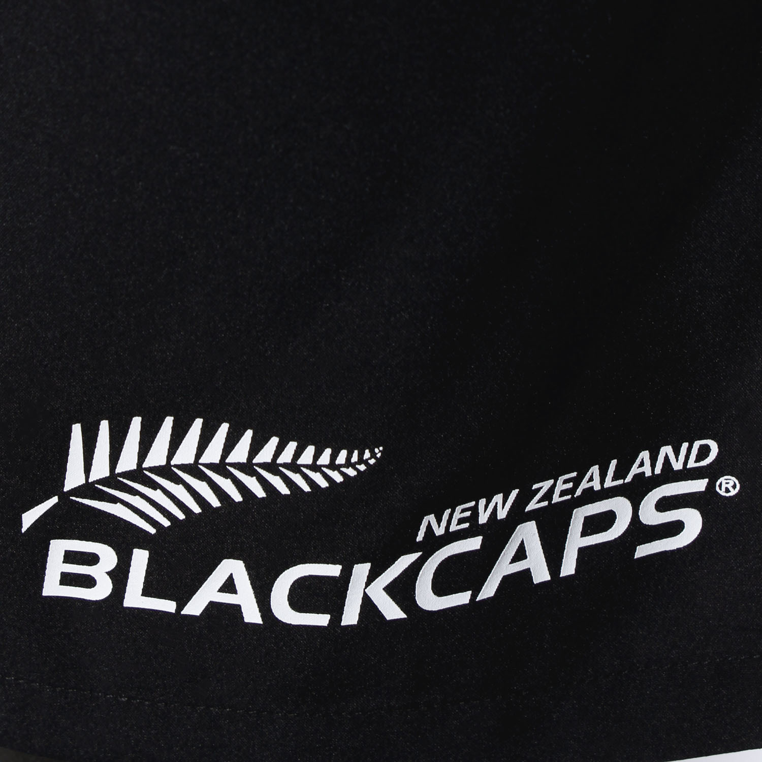 BLACKCAPS Gym Shorts (4XL)