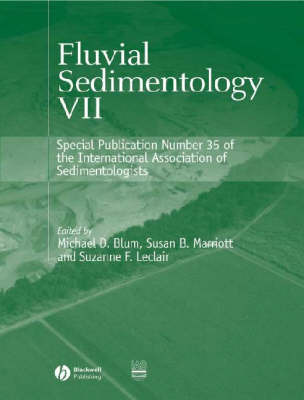 Fluvial Sedimentology VII image