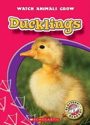 Ducklings by Colleen Sexton (Governors State University) image