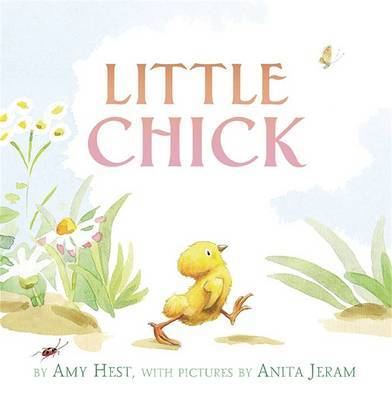 Little Chick on Hardback by Amy Hest