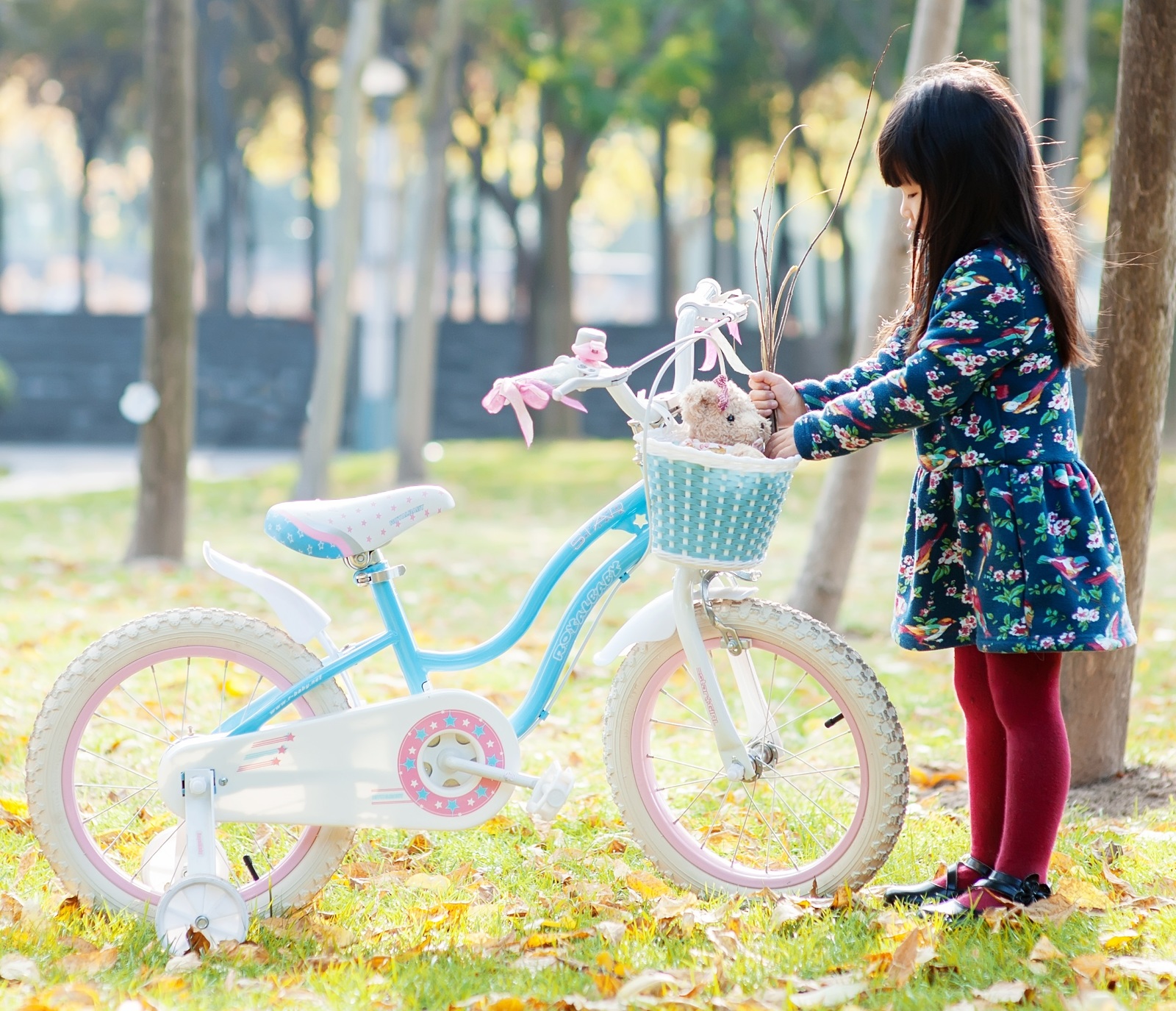 RoyalBaby: Star Girl G-1 - 12" Bike (Blue) image