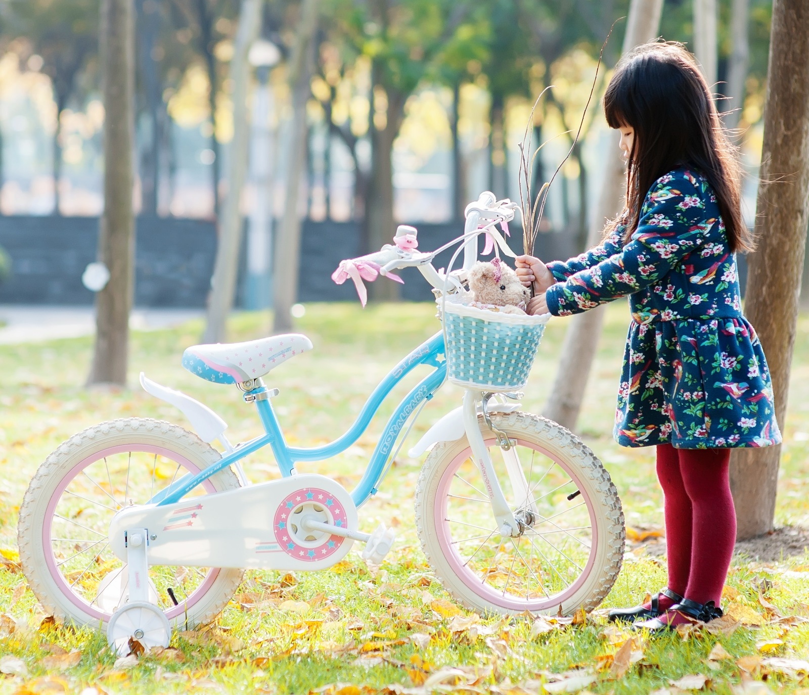 RoyalBaby: Star Girl G-1 - 12" Bike image